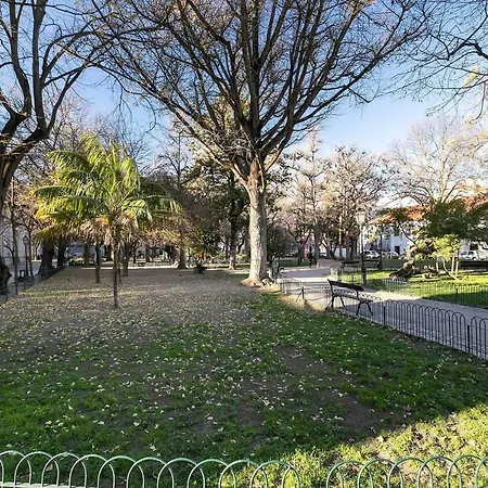 Apartment Spacious In Rato With Terrace *
